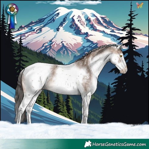 Horse Color:White Spotted Sable Champagne Tobiano 