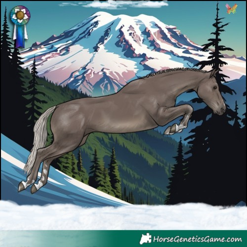 Horse Color:Silver Black
