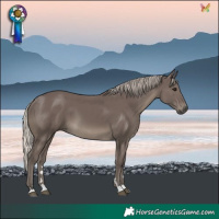 Horse Color:Silver Black 