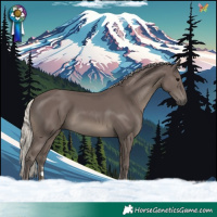 Horse Color:Silver Black 