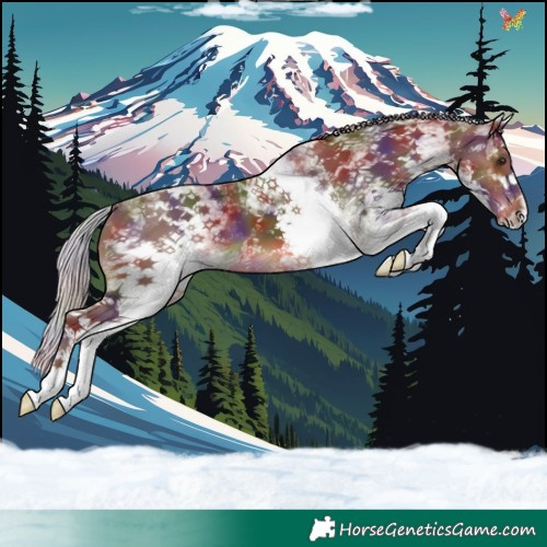 Horse Color:Nacre White Spotted Silver Brown