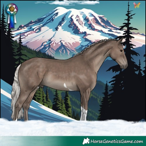 Horse Color:Silver Black Tobiano