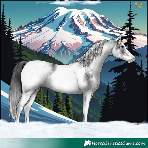 Horse Color:White Spotted Brown Tobiano Rabicano 
