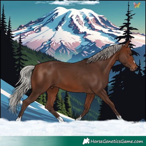 Horse Color:Silver Brown