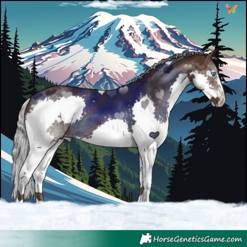 Horse Color:Silver Brown Splash 