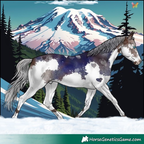 Horse Color:Silver Brown Splash
