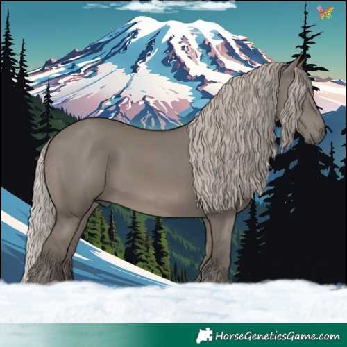 Horse Color:Silver Grullo
