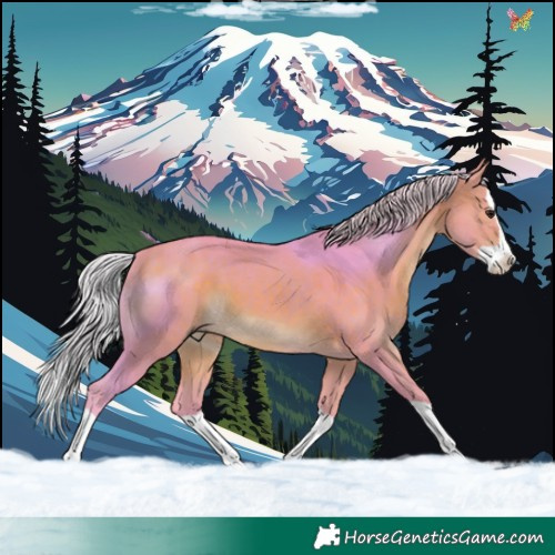 Horse Color:Watercolor Silver Brown Splash