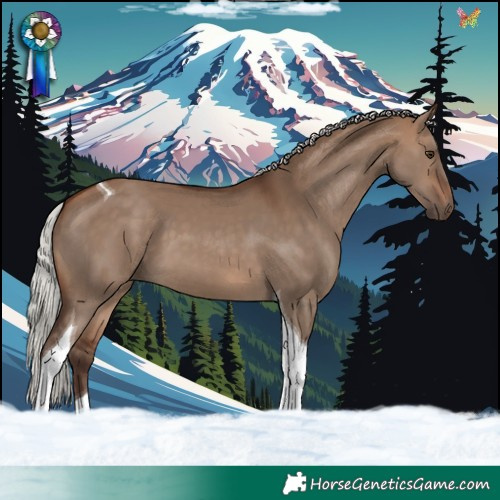 Horse Color:Silver Brown Dun Tobiano