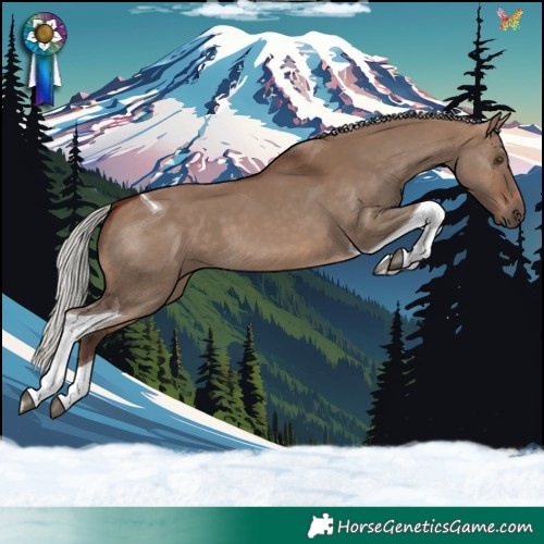 Horse Color:Silver Brown Dun Tobiano