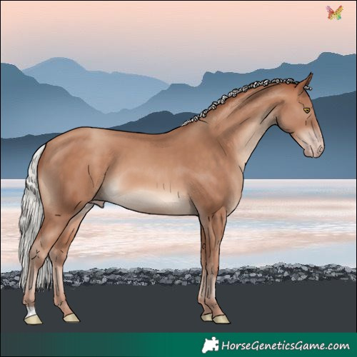 Horse Color:Silver Sable Champagne 