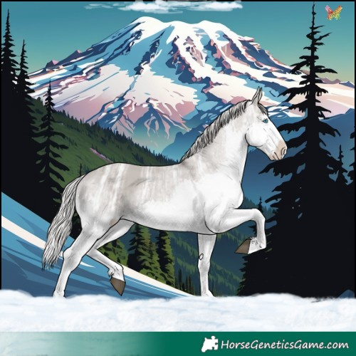 Horse Color:Platinum Silver Grullo Ice Splash