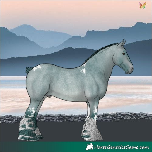 Horse Color:Watercolor Bay Roan Tobiano