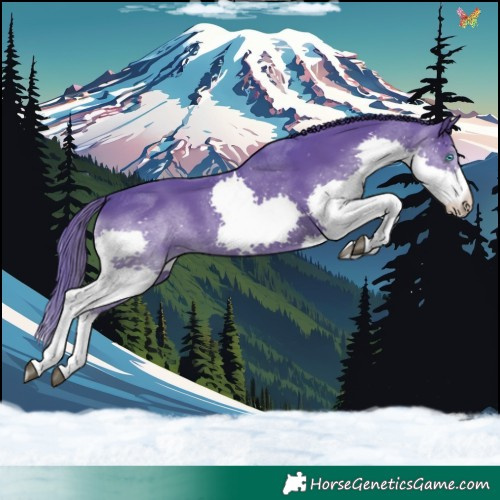 Horse Color:Watercolor Black Splash 