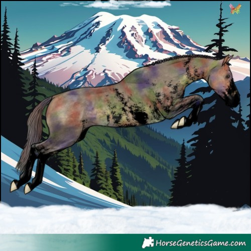 Horse Color:Void Nacre Buckskin Dun Sabino 