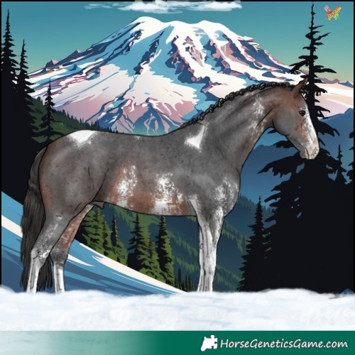 Horse Color:Brown Sabino Tobiano
