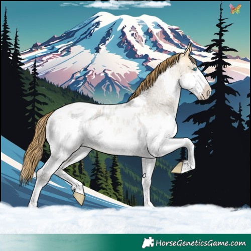 Horse Color:Buckskin Roan Dun Splash Appaloosa