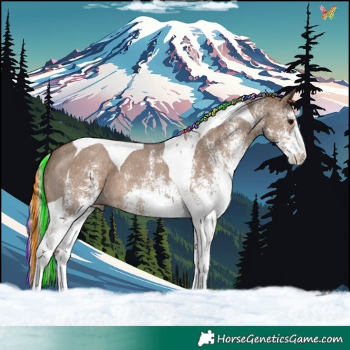 Horse Color:Painted White Spotted Silver Grullo Tobiano 