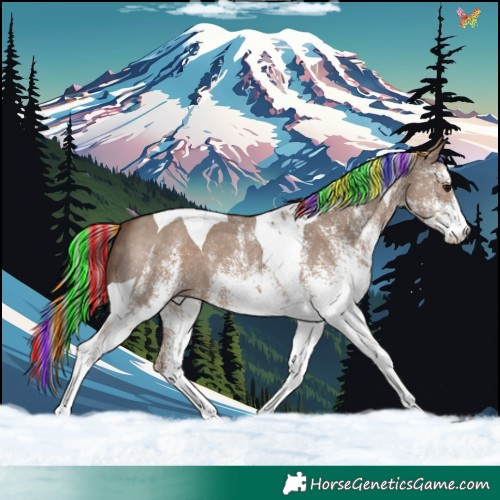 Horse Color:Painted White Spotted Silver Grullo Tobiano