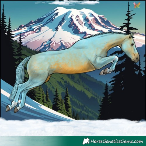 Horse Color:Watercolor Brown Tobiano
