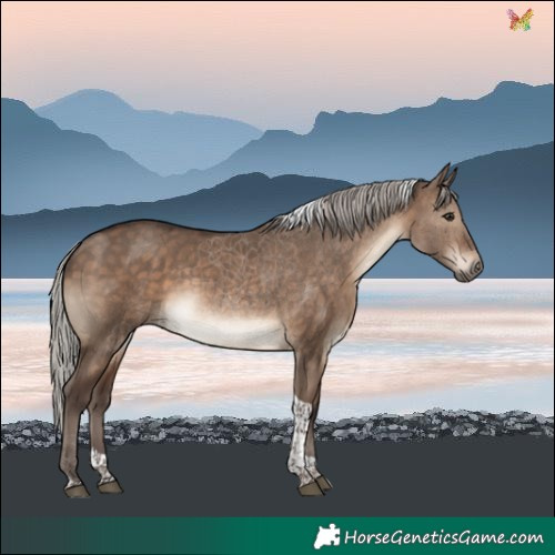 Horse Color:Silver Brown Dun Tobiano 