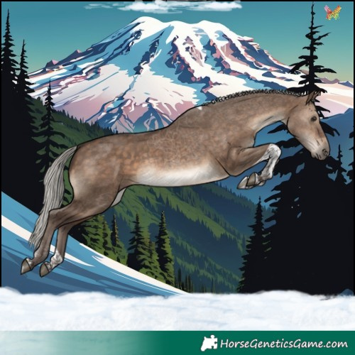 Horse Color:Silver Brown Dun Tobiano 