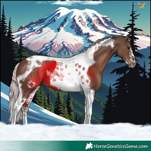 Horse Color:Silver Black Tobiano Frame 