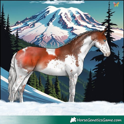 Horse Color:Silver Brown Splash Tobiano
