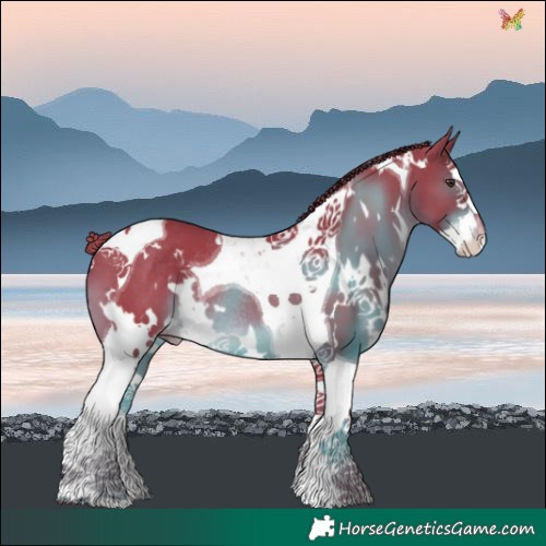 Horse Color:Watercolor White Spotted Liver Chestnut Splash Tobiano Varnish Rabicano 