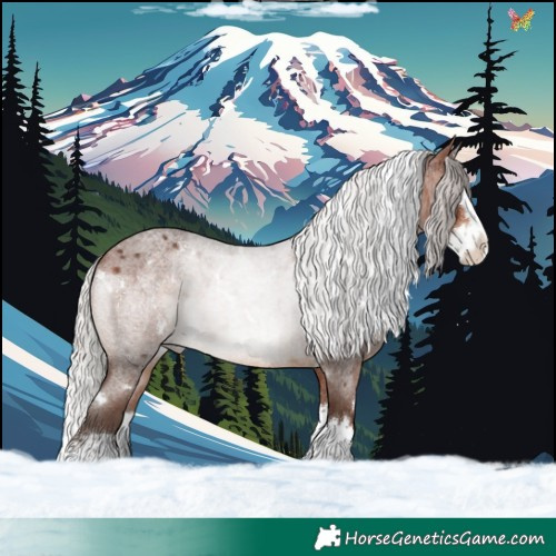Horse Color:White Spotted Silver Brown Roan Splash 