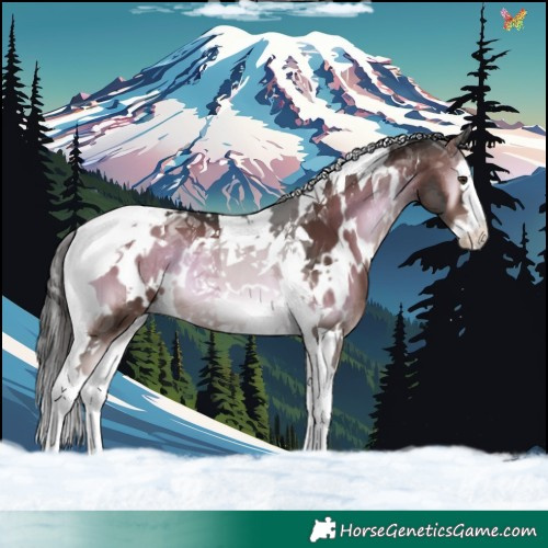 Horse Color:White Spotted Liver Red Onyx Splash Tobiano 