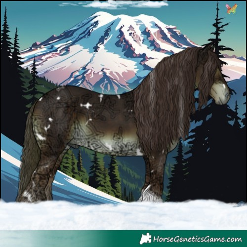 Horse Color:White Spotted Liver Chestnut Ice Tobiano