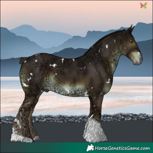 Horse Color:White Spotted Liver Chestnut Ice Tobiano