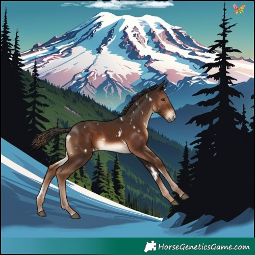 Horse Color:White Spotted Liver Chestnut 