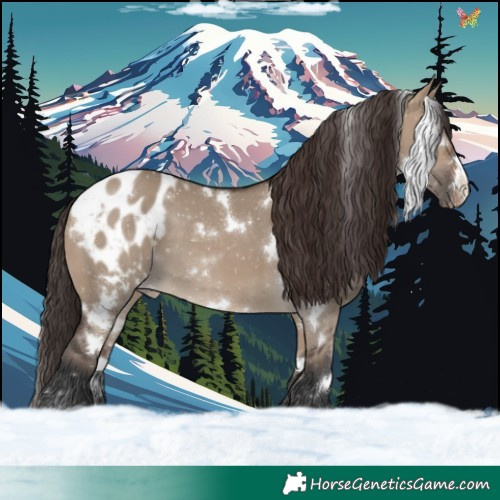 Horse Color:White Spotted Brown Dun Appaloosa 