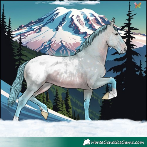 Horse Color:Watercolor Brown Dun Appaloosa 