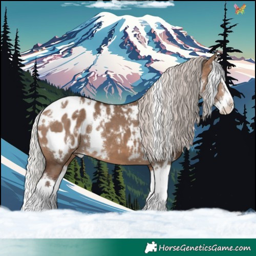Horse Color:White Spotted Silver Brown Dun Splash Appaloosa