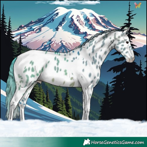 Horse Color:Watercolor Brown Dun Tobiano Appaloosa