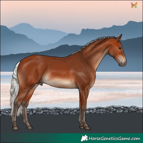 Horse Color:Silver Bay
