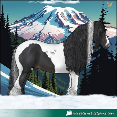 Horse Color:Brown Tobiano 