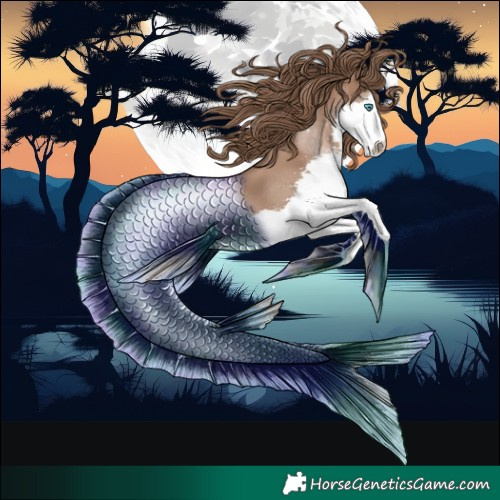 Horse Color:Black Pearl Splash 