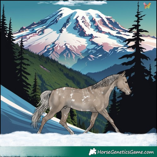 Horse Color:Powder White White Spotted Silver Grullo 