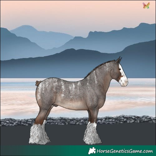 Horse Color:Powder White Liver Red Roan Splash