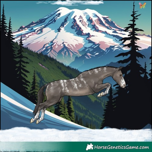 Horse Color:Powder White Smoky Grullo