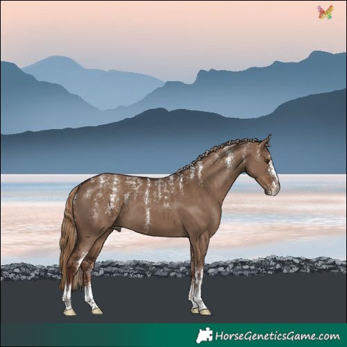 Horse Color:Powder White Liver Red Dun