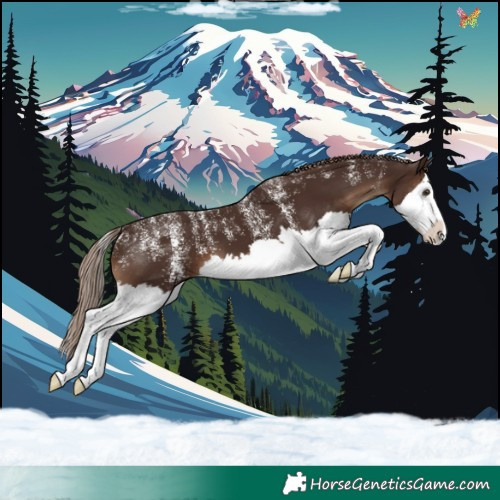 Horse Color:Powder White Liver Chestnut Splash