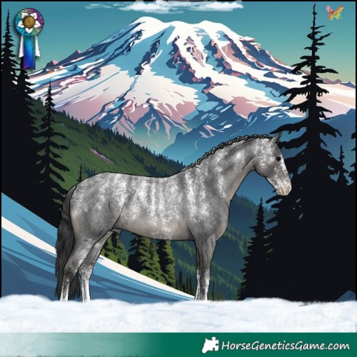 Horse Color:Powder White Blue Roan