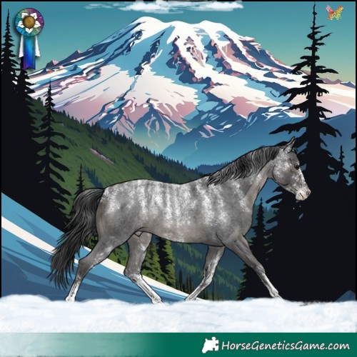 Horse Color:Powder White Blue Roan 