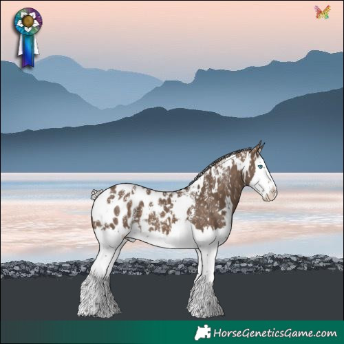 Horse Color:Powder White White Spotted Silver Brown Dun Splash Blanket 