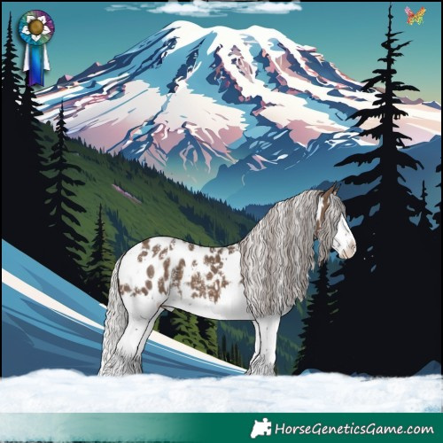 Horse Color:Powder White White Spotted Silver Brown Dun Splash Appaloosa